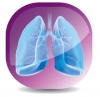 Seminario Lung Protection