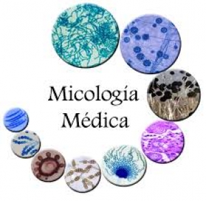 Le infezioni da micromiceti: incontro con il prof. Oliveri