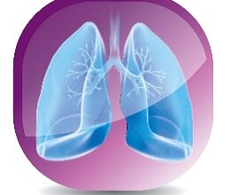 Seminario Lung Protection