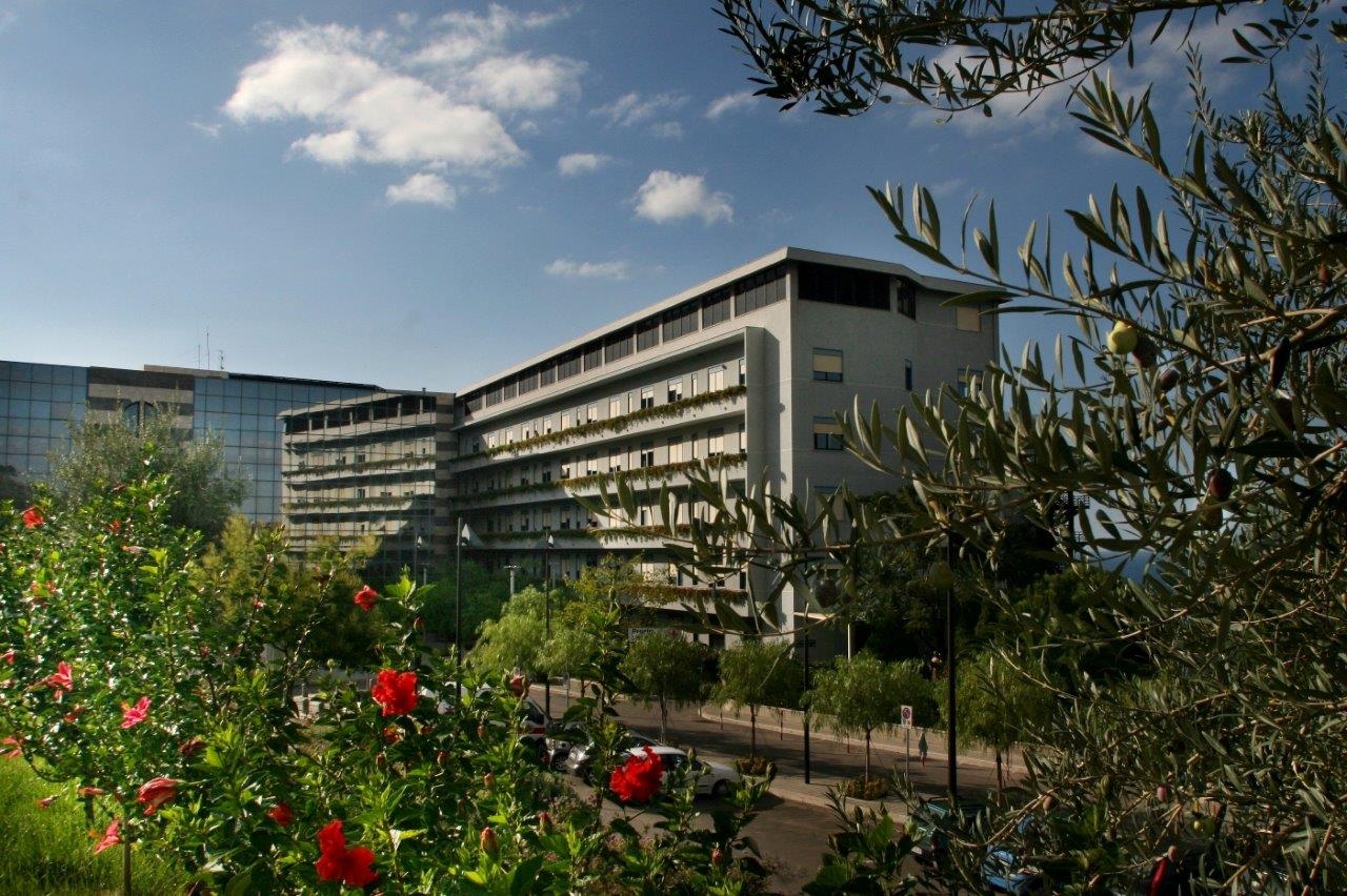 l'ospedale