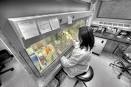 Gestione della tossicita’ in ambito oncologico
