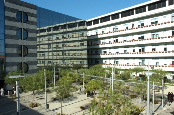 L'istituto Giglio
