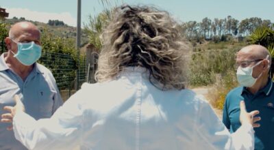Fase 2: nuovo video della Fondazione Giglio con i consigli per ripartire