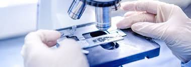 Avviso di lavoro tramite selezione pubblica per l’assegnazione di n. 1 contratto a tempo indeterminato quale MEDICO SPECIALISTA IN ANATOMIA PATOLOGICA